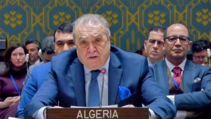 Algeria's Bendjama Identifies Principal Threats