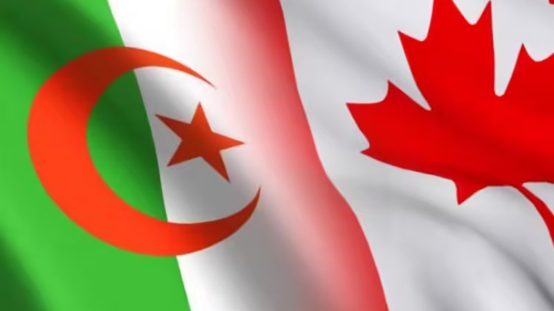 Algeria's Role in International Peace Emphasized by Canadian Ambassador Michael Callan