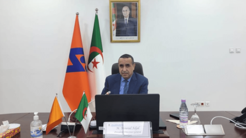 Algeria's Sonelgaz Looks to Europe for Future Growth