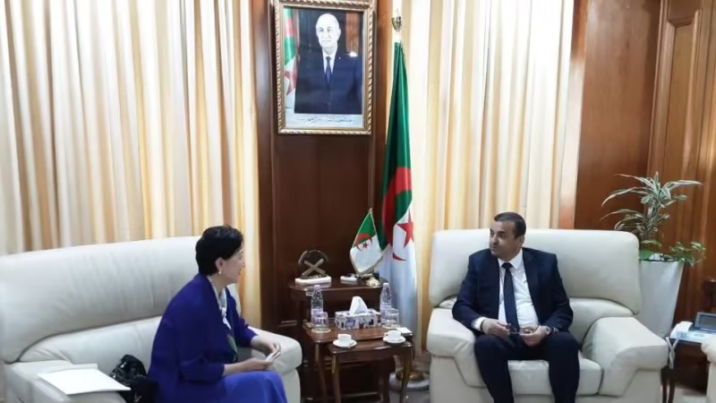 Minister of Energy Mohamed Arkab Meets with JP Energy Global's Vice President