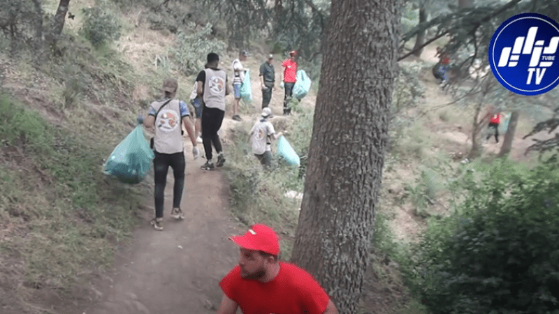 Ooredoo Algeria, Volunteer Action Association Lead Major Cleanup Effort at Theniet El Had National Park