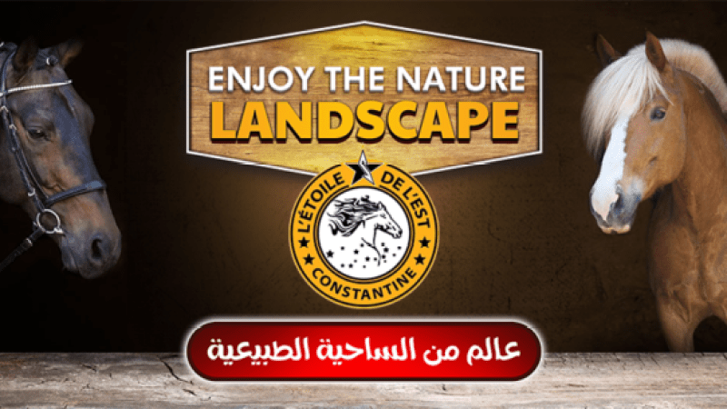 Tourism in Algeria (6)-Discovering the Hidden Gem: Star of the East "Nejem El Shark" Tourism Complex in Constantine Province