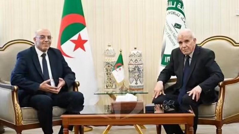 Algeria's Presidential Elections: Abdelaali Hassani Cherif, Tarek Zeghdoud, and Chaabi Salem Submit Candidacy Papers