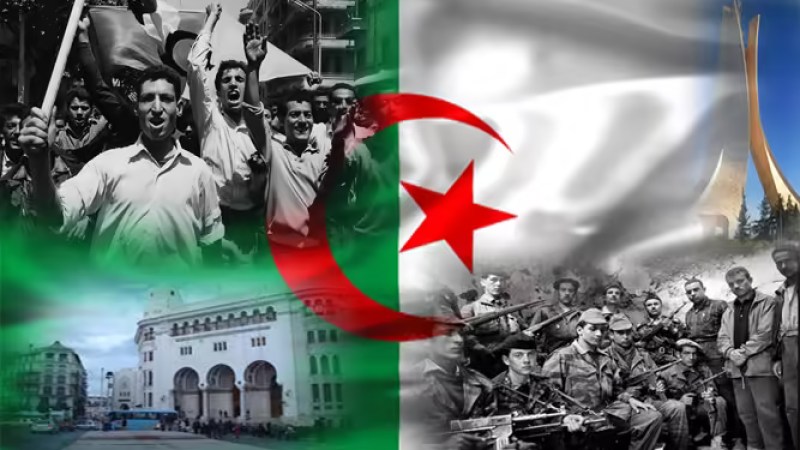 Algerian Ambassador in Brazil Commemorates Independence Day with Diverse Celebration and Film Screening