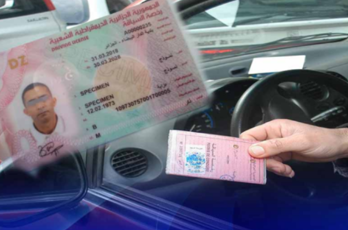 Comprehensive Implementation of Biometric Driver’s Licenses Across Algeria