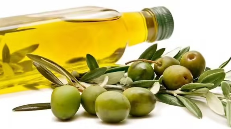 Algeria Enters Global Top 10 Olive Oil Producers