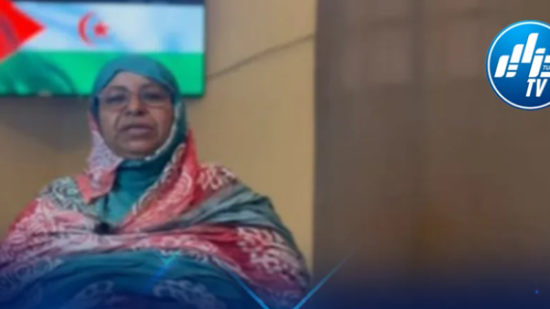 Western Sahara Activist Fatima El-Eguaoui Accuse France of Exploiting Conflict for Strategic Gains
