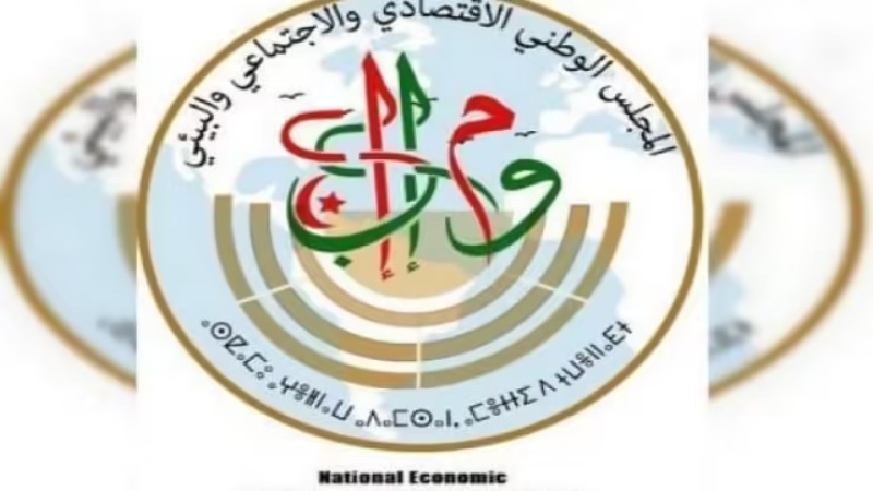 Algeria: "Significant Achievements in Addressing Vulnerabilities: 2019-2023," Says National Economic, Social, and Environmental Council