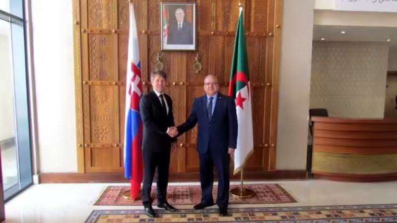 Algeria, Slovakia Hold First Session of Political Consultations