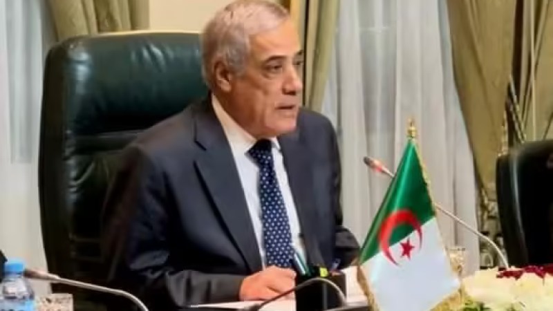 Government Meeting: Examination of Key Sectoral Projects, Initiatives