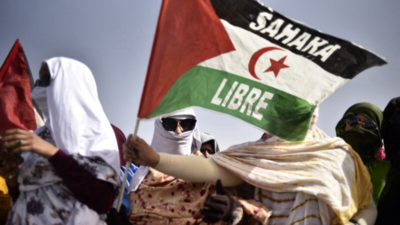 Algerian Delegation Gears Up for Lisbon Conference in Solidarity with Western Sahara’s Right to Self-Determination