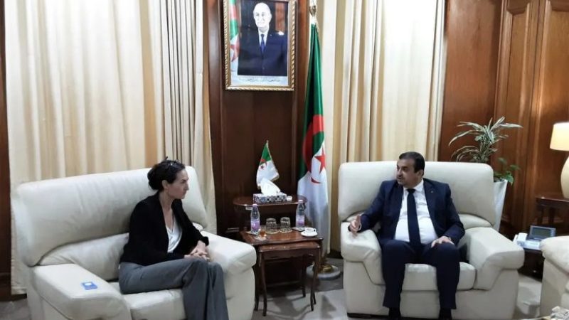 Minister of Energy Mohamed Arkab Meets with UNDP Resident Representative Natasha Van Rijn to Strengthen Cooperation in Renewable Energy