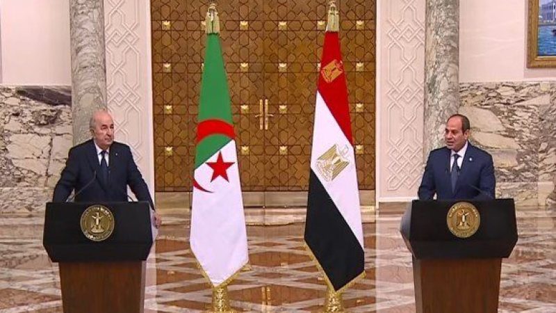 Algeria’s Unwavering Efforts to End the Genocide in Gaza