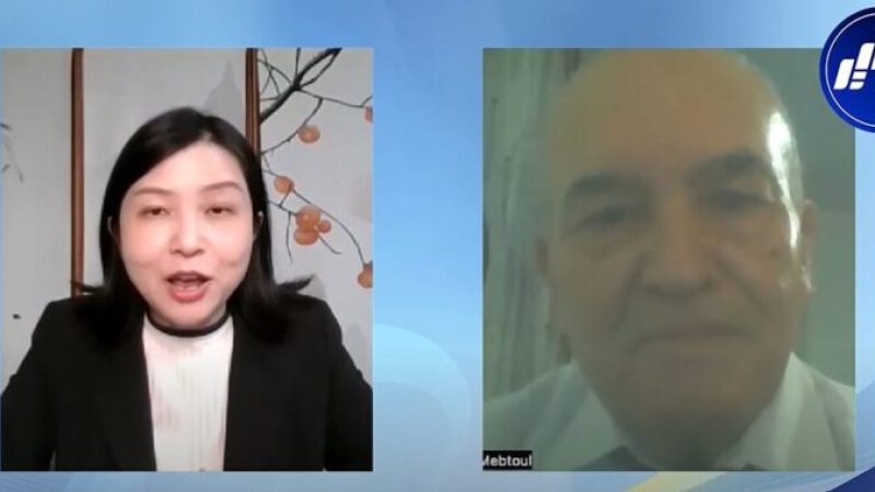 Professor Abderrahmane Mebtoul Advocates for Balanced Development and Economic Diversification Amidst Shifting International Dynamics with BRICS and the Development Bank