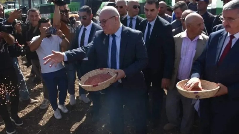 2024-2025 Agricultural Season: Over 3 Million Hectares Allocated to Cereal Production