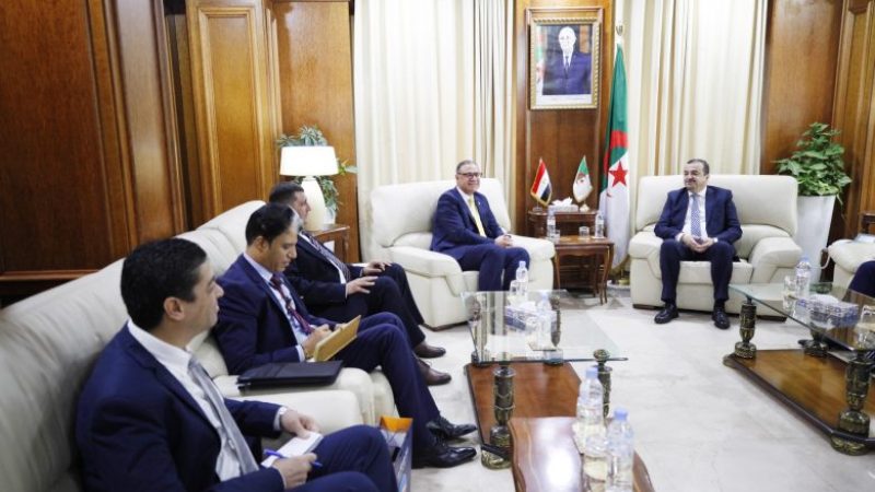 Algeria, Egypt Forge New Avenues of Partnership in Energy and Mining Sectors