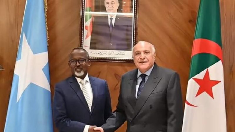 Algerian Foreign Minister Receives Somali President's Special Envoy to Strengthen Bilateral Ties and Discuss Security Council Membership
