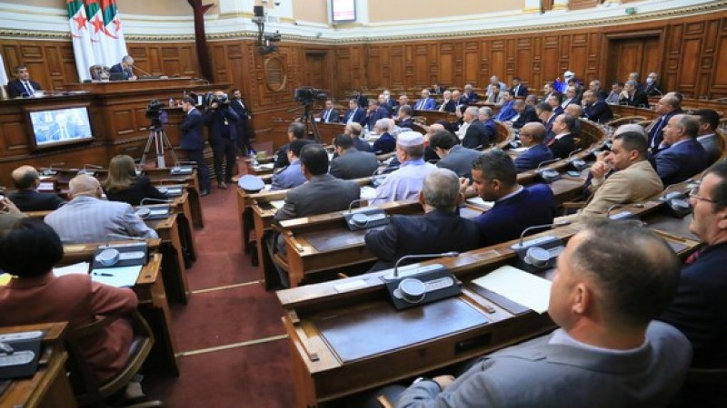 Algerian Senate Approves 2025 Finance Bill