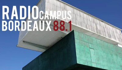 Unprecedented Incident in Bordeaux: Mouse Falls on Head of Moroccan MP, Radio Station Temporarily Closes