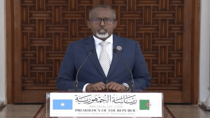 Strengthening Algeria-Somalia Relations: A Fraternal Partnership Focused on Regional Cooperation