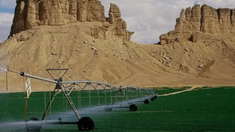 Inaugural International Exhibition on Saharan Agriculture to Launch in El Oued