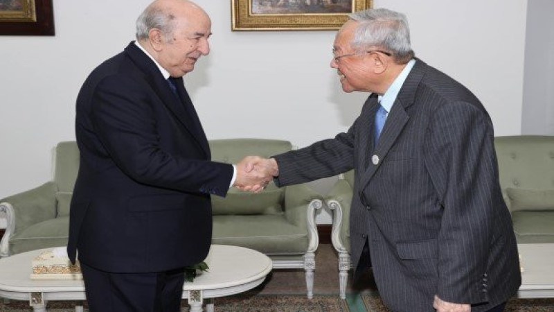 President Tebboune Meets with CEO of Lion Group to Strengthen Investment Ties