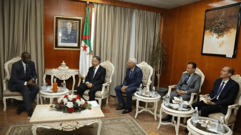President Tebboune’s Message Delivered to Somali Counterpart by Minister Baddari