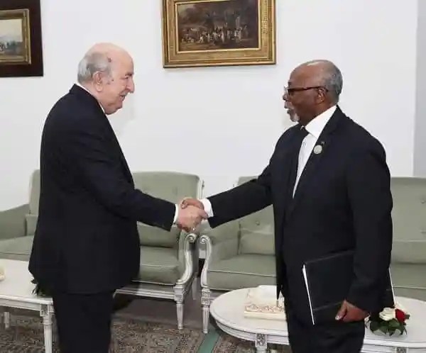 President Tebboune Meets with Cameroonian Foreign Minister Lejeune Mbella Mbella: “This Visit Aims to Strengthen Bilateral Relations and Cooperation”