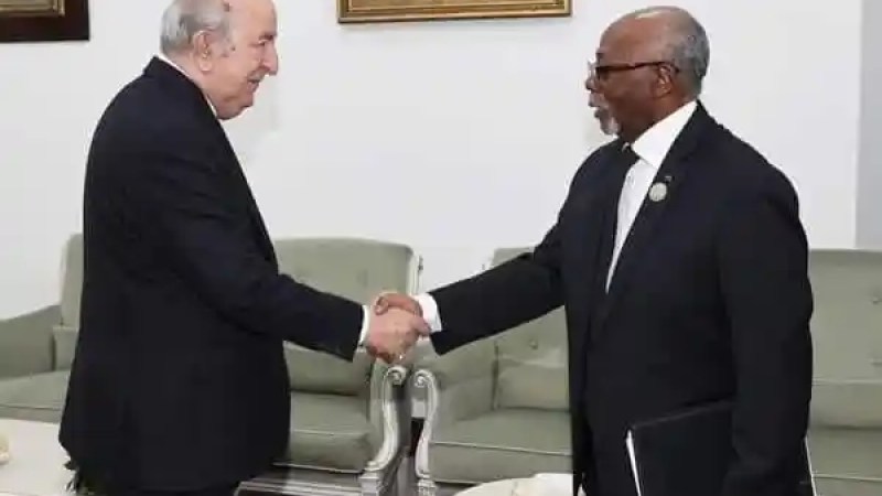 President Tebboune Meets with Cameroonian Foreign Minister Lejeune Mbella Mbella: "This Visit Aims to Strengthen Bilateral Relations and Cooperation"