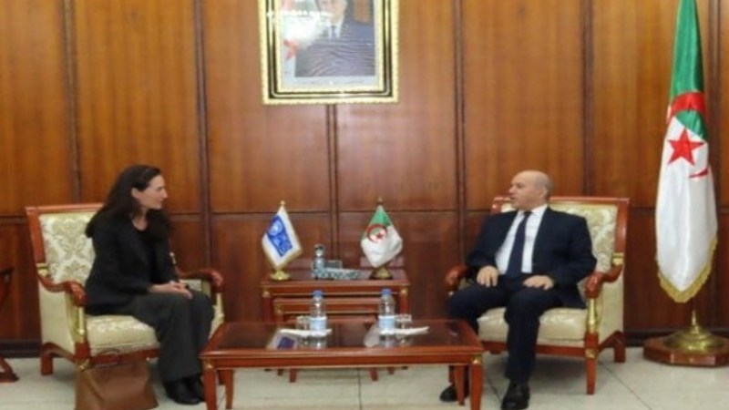 Algeria Strengthens Partnership with the UNDP to Enhance Healthcare, Address Regional Challenges