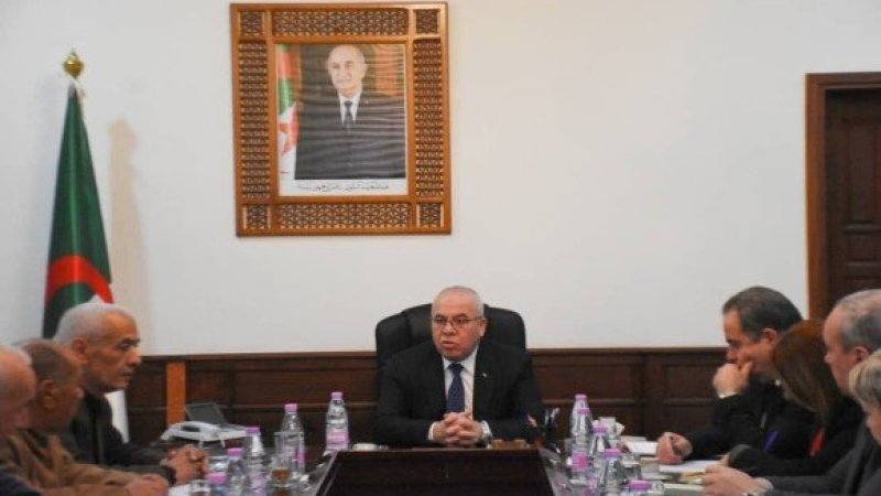 Strengthening Algeria’s Red Meat Industry: A Commission to Boost Domestic Production