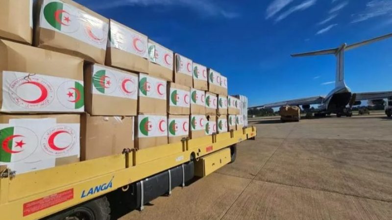 Ibtissem Hamlaoui Oversees Humanitarian Aid Shipment to Burkina Faso on Presidential Orders