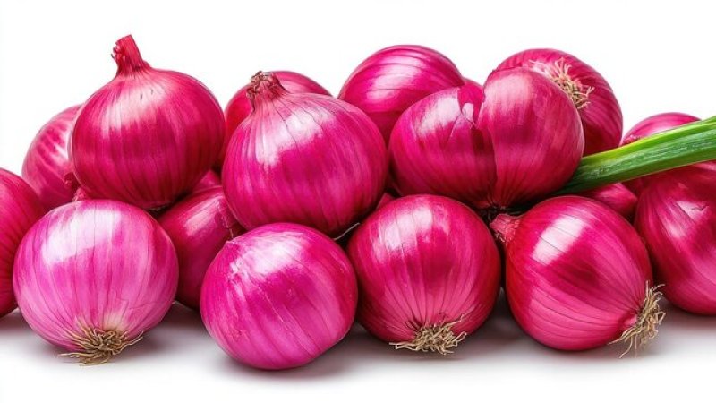 Algeria's Khenchela Exports 500 Tons of Red Onions to Libya in Landmark Agricultural Trade Milestone