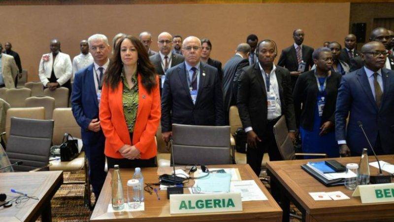 Selma Bakhta Mansouri Advocates for Agricultural Transformation at AU Summit Preparations