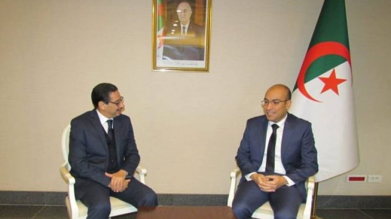 Sofiane Chaïb Discusses Enhancing the Conditions of the Algerian Community in Tunisia