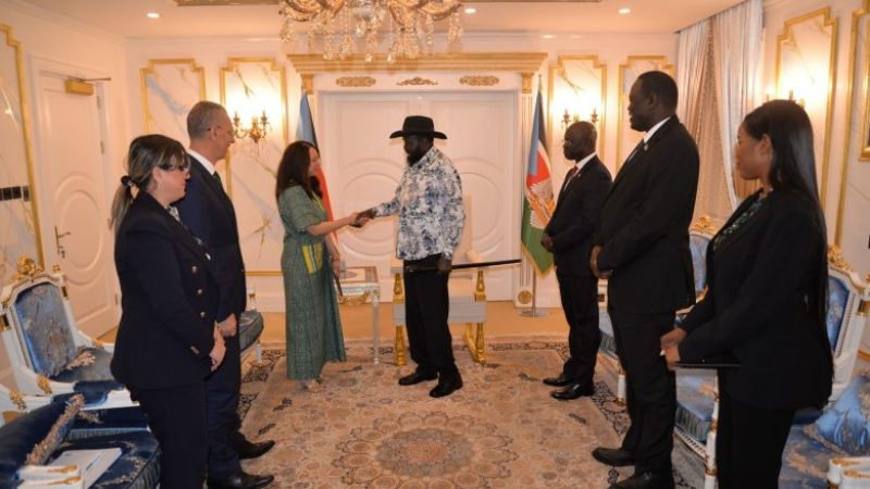Algeria's Diplomatic Efforts Strengthened with High-Level Reception in South Sudan