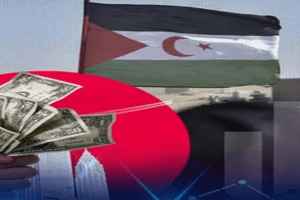 Dzair Tube Sources: Grave Risks, Heavy Repercussions Await Foreign Companies Investing in Morocco-Occupied Western Sahara