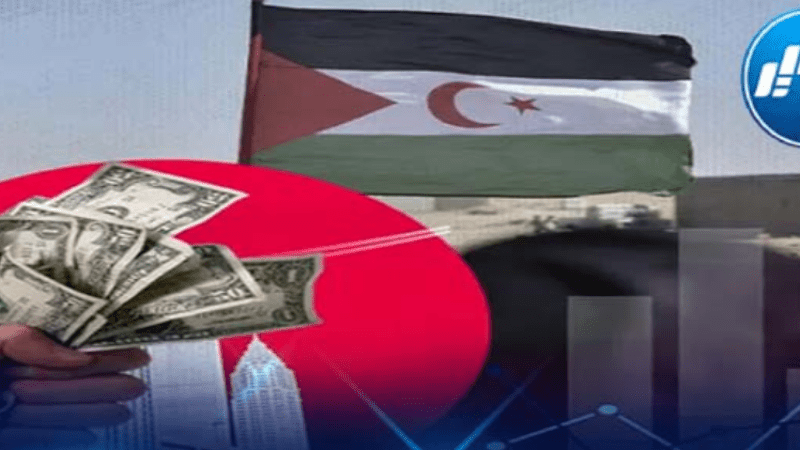 Dzair Tube Sources: Grave Risks and Heavy Repercussions Await Foreign Companies Investing in Morocco-Occupied Western Sahara