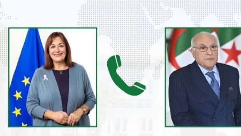 Algerian FM Ahmed Attaf Engages in Strategic Dialogue with European Commissioner Dubravka Suica