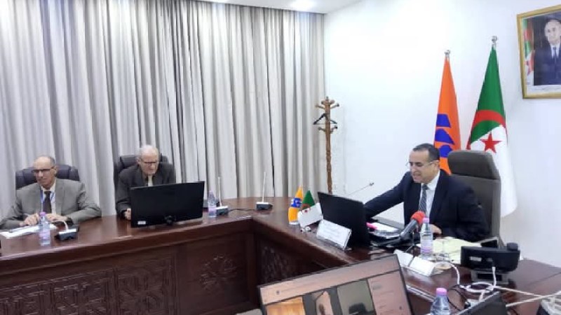 Algeria Explores Ambitious Energy Collaboration with Niger: Plans for a Power Plant Underway