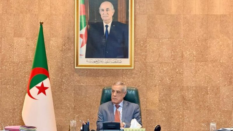 Government Meeting Addresses Strategic National Sectors: Education, Housing, Cinema, and More