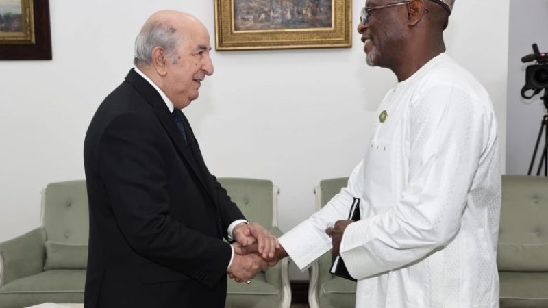 President Tebboune Receives Niger’s Foreign Minister in Algiers