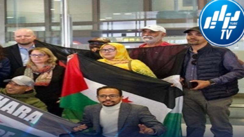 Makhzen Expels 316 International Observers from Occupied Western Sahara to Conceal Rampant Human Rights Abuses