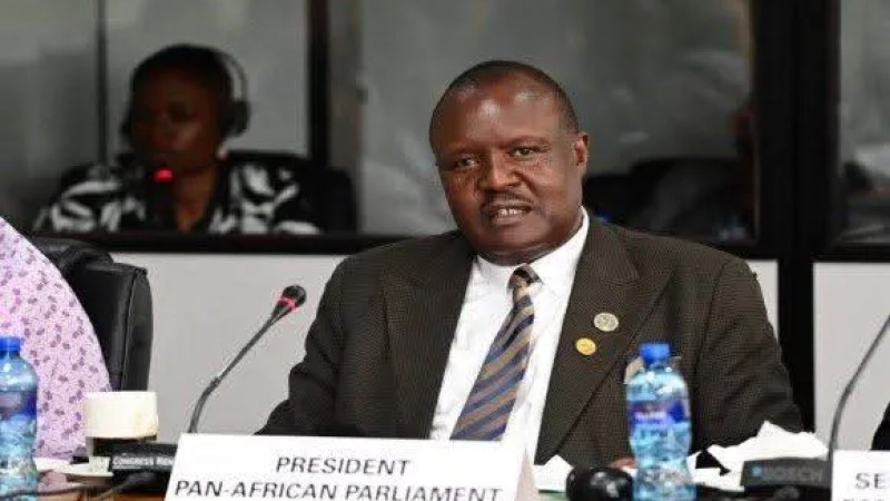 African Parliament President Congratulates Algeria on Diplomatic Triumph