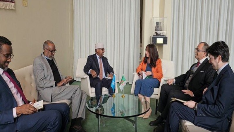 Selma Mansouri Engages in High-Level Diplomatic Consultations at the UN Security Council