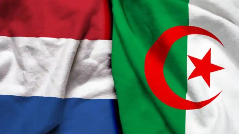 Algerian Talents in the Netherlands: A New Era of Influence and Collaboration