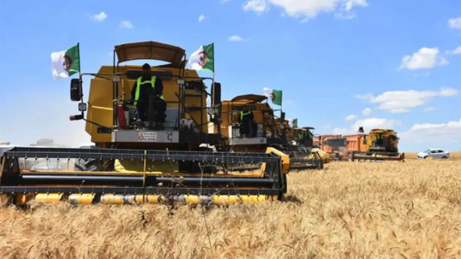 French Senate Debate Reveals Growing Anxiety Over Algeria-Italy Wheat Partnership