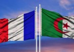 France’s Exports to Algeria in Freefall: Paris Faces Catastrophic Losses Amidst Diplomatic Rift