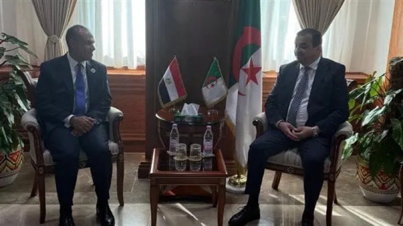 Algeria, Egypt Deepen Strategic Cooperation in Energy and Infrastructure Sectors