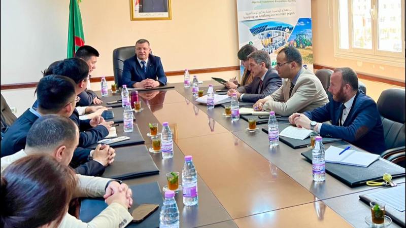 Global Solar Giant LONGi Eyes Major Solar Panel Manufacturing Project in Algeria